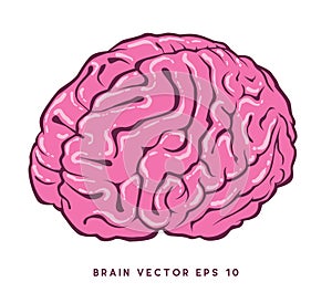Brain vectorfileÃ¢â¬â stock illustration Ã¢â¬â stock illustration file photo